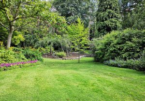 Optimiser l'expérience du jardin à Suc-et-Sentenac